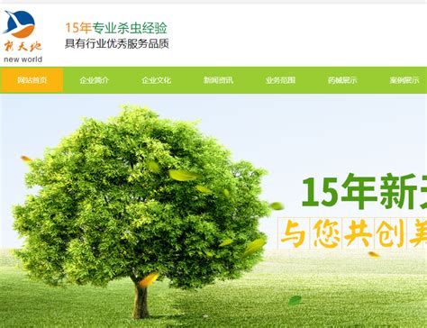 重庆网站推广专业公司