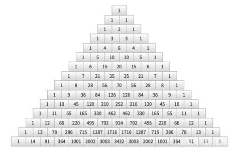 金字塔里的数字