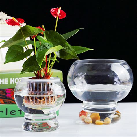 钢化玻璃花盆图片