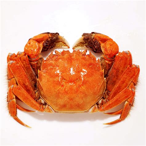 阳澄湖大闸蟹为什么这么好吃