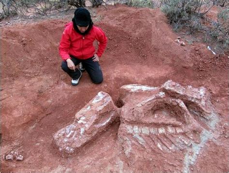 阿根廷发现巨型恐龙