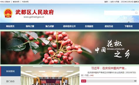 陇南市专业的网站推广