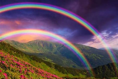 雨后彩虹是光的折射还是反射