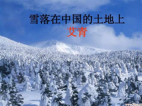雪落在中国的土地上表达了什么