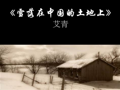 雪落在中国的土地上赏析600字