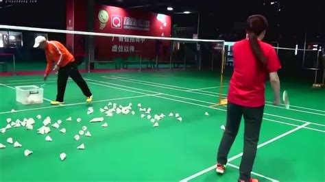 零基础打羽毛球教程中文