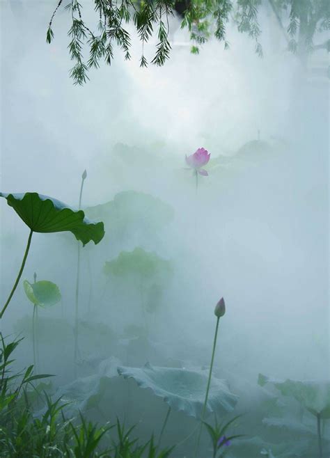 雾里看花的含义是什么