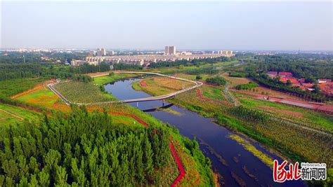 青县关于运河的规划