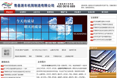 青县大型网站建设代理价格