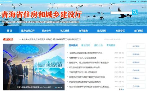 青海省网站建设与发展