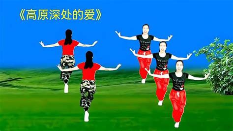 青藏高原广场舞背面正面完整版