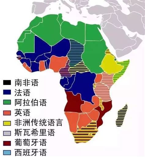 非洲语言主要有哪些