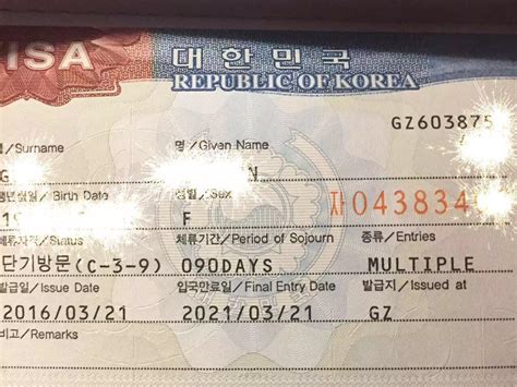韩国五年电子签证样本