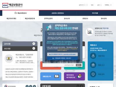 韩国存款保险公司网站