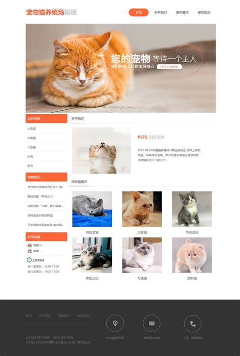 领养猫的网页设计模板代码