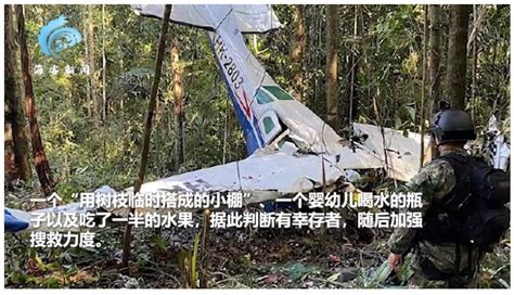 飞机坠毁后4名儿童获救