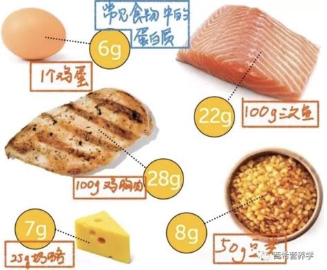 食品中的脂肪怎么测量