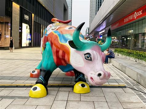 香港玻璃钢牛雕塑