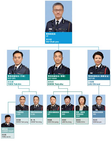 香港警队电子表