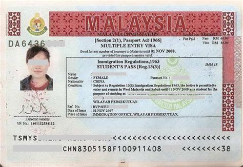 马来西亚一年签证怎么办