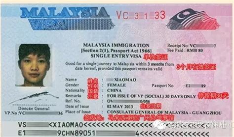 马来西亚签证图片