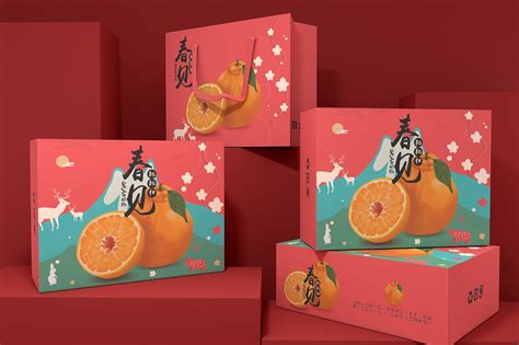 高档柑橘礼盒包装日本
