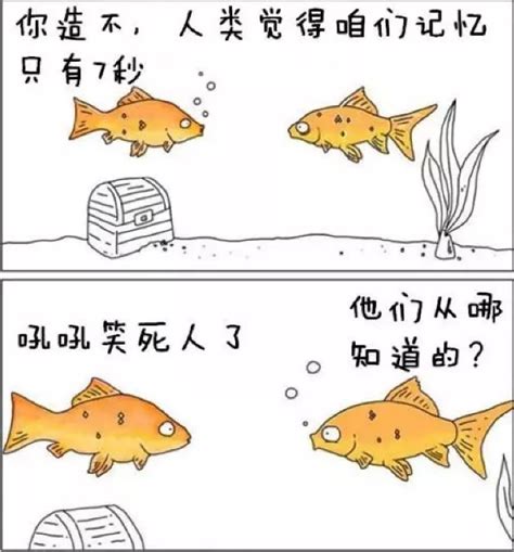 鱼的记忆徐志摩