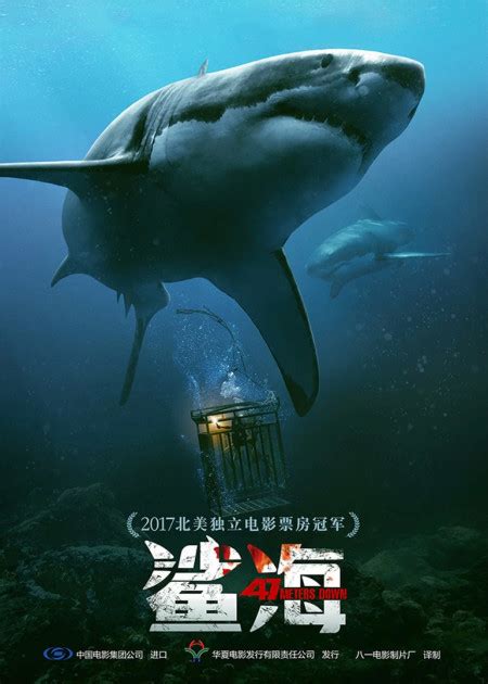 鲨海电影完整版