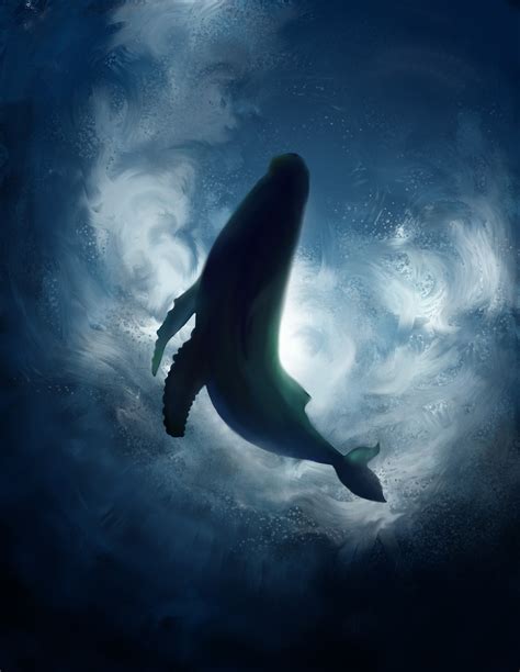 鲸鱼的样子