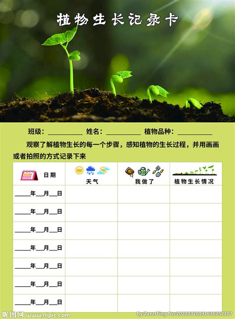1-3年级植物记录表