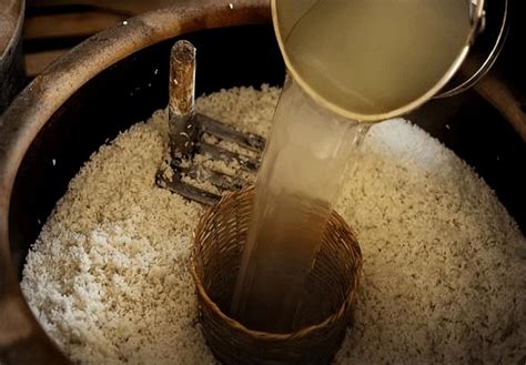 100斤米能酿多少斤米酒