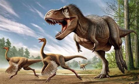 100种恐龙真实叫声