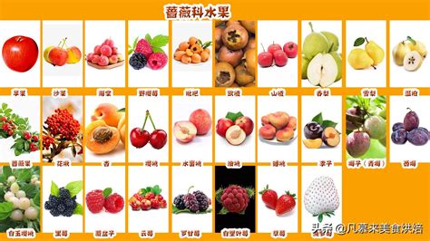 100种水果名字与图片
