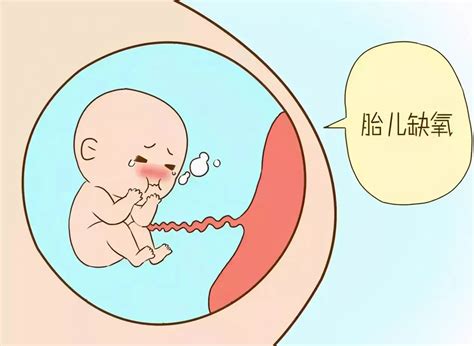 16周的胎儿会缺氧吗