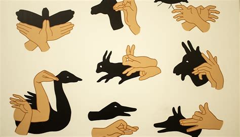 16种简单的手影游戏表演方法