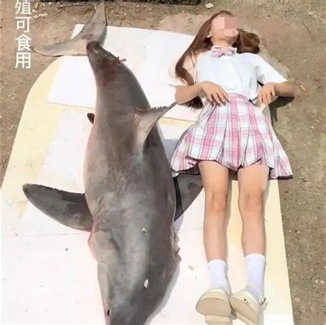 19岁网红吃鲨鱼判刑