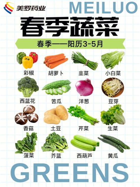 2-3月播种蔬菜名单