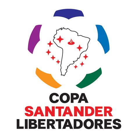 2010年南美解放者杯