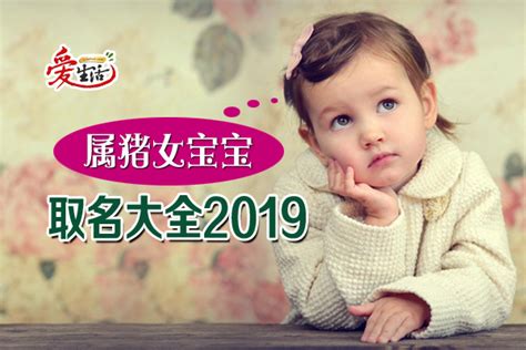 2019女猪宝宝取名95分