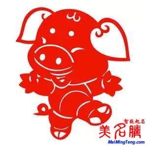 2019年猪宝宝张姓起名