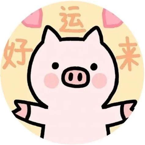2019猪宝宝取名大全姓张