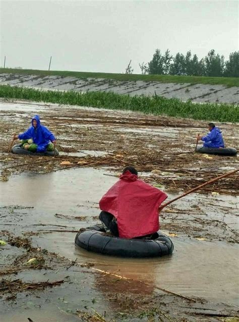 2020河蟹养殖洪涝灾害视频