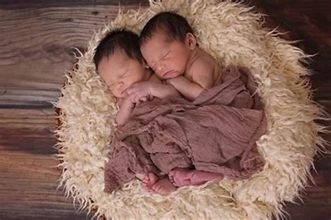 2021年牛宝宝双胞胎取名字