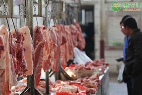 2021猪肉价格多少钱一斤