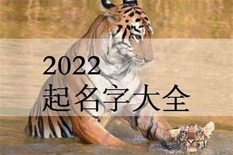 2022年属虎洋气名字