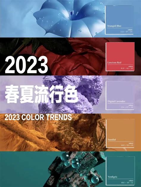 2022年流行什么颜色