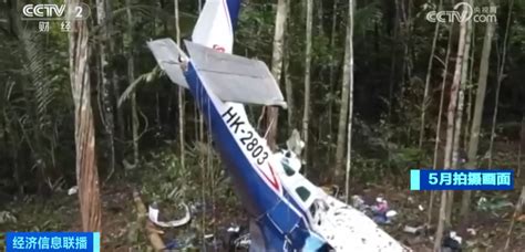 4名儿童坠机40天后获救视频
