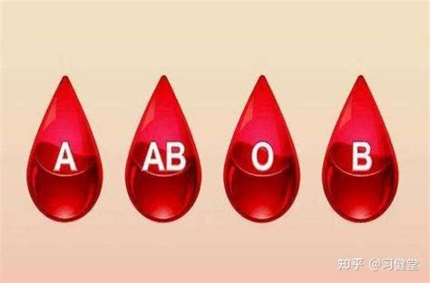 4种血型哪种血型最聪明