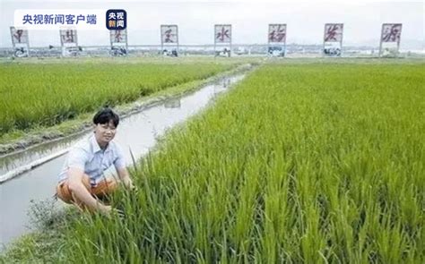 40岁水稻专家去世捐器官