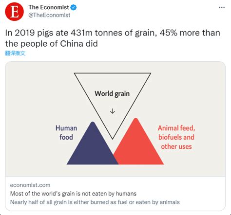 5j9rf1_称猪比中国人吃得多后+经济学人删推吗